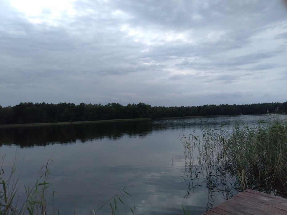 Domek z kominkiem, lasy, jeziora. Relaks gwarantowany!