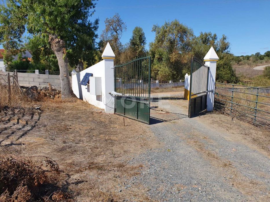 Herdade em Alvito - a 50 min Alqueva
