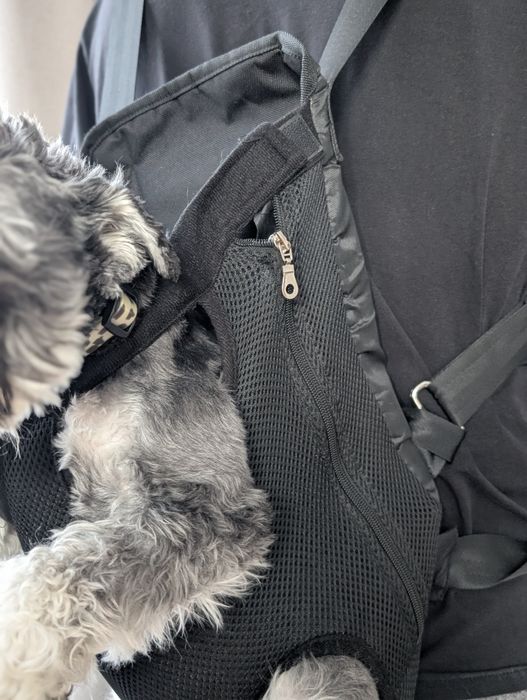 Рюкзак-кенгуру для собаки