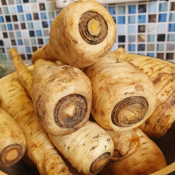 Пастернак корінь