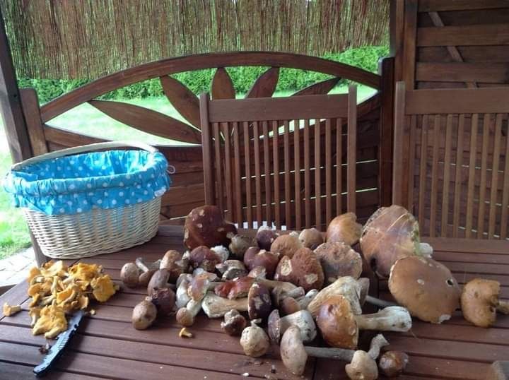 Domek letniskowy Wielonek w Borach Tucholskich, Zalewem Koronowski