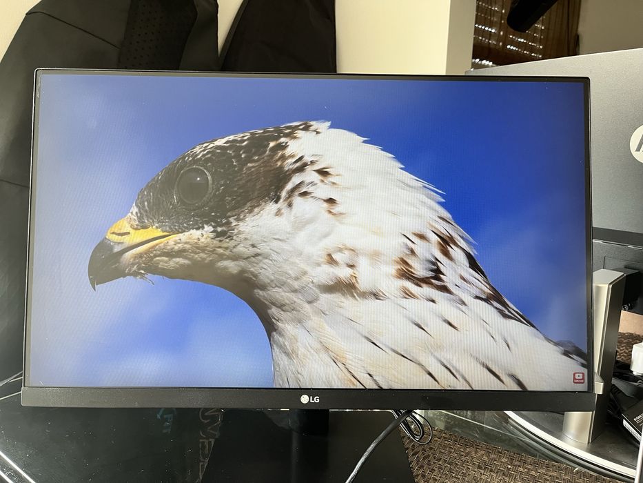 Monitor LG 24MP500-B (24" - Full HD - LED IPS - AMD)