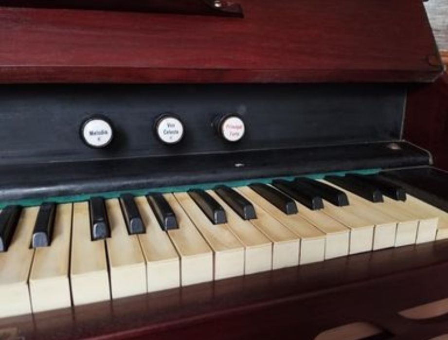 Fisharmonia organy piękne dźwięki