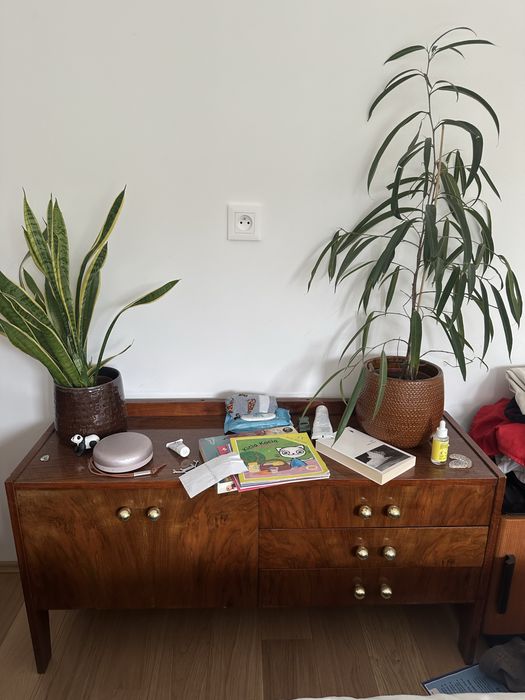 Sprzedam szafkę pod TV / niska komoda vintage