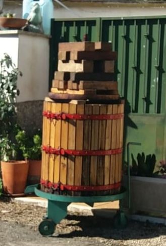 Cincho/Espremedor uvas