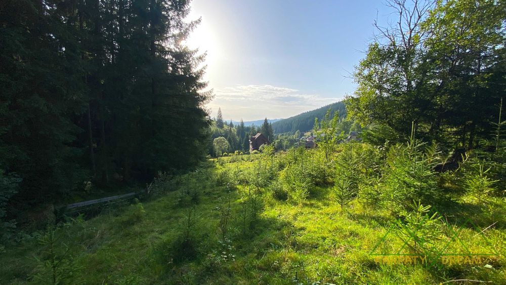 Продаж ділянки, межує з лісом