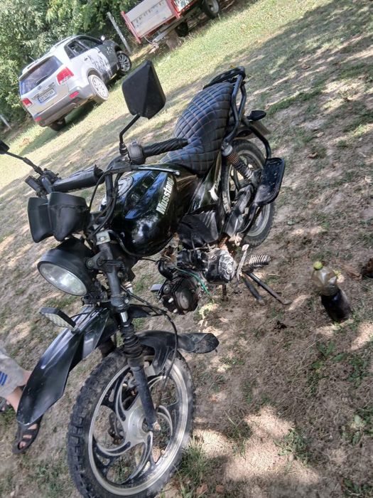 Musstang Dingo 125