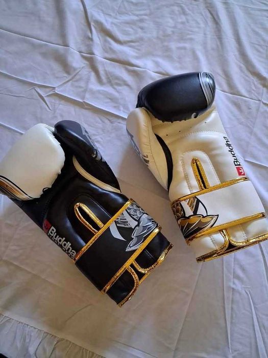 Luvas Buddha Koy + Everlast MMA + Mitts Everlast (Excelente Estado)