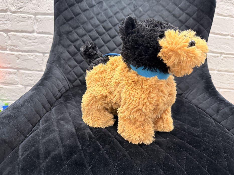 Песик що гуляє  та гавкає