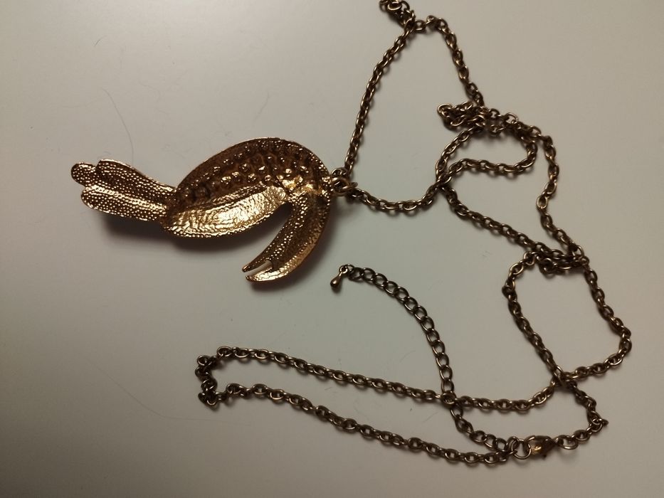 Wisiorek papuga Meksyk