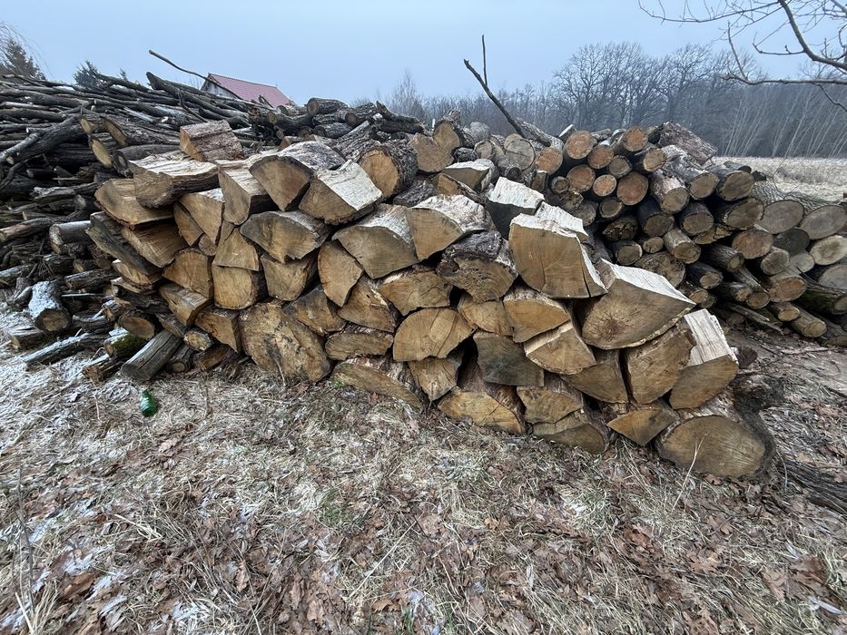 Drewno Jesion Dąb gruby suchy