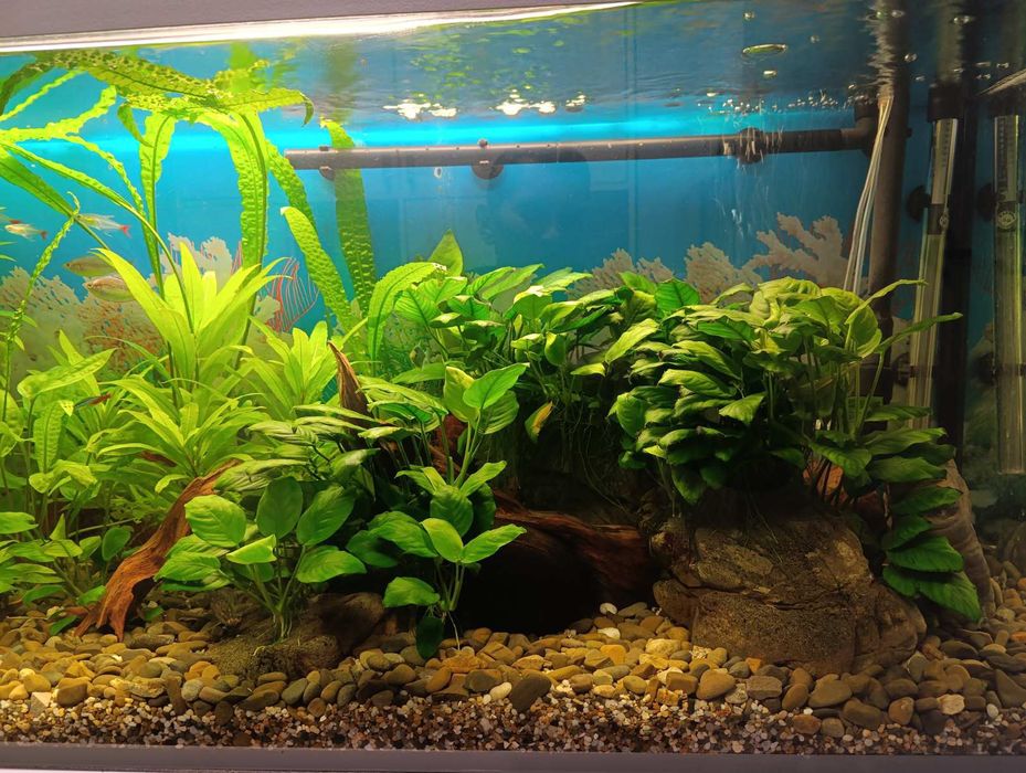 Акваріумний  повний комплект на 240л.