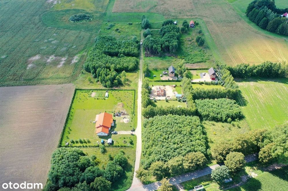 Zdjęcie 4