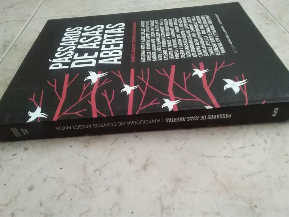 Pássaros de Asas Abertas - – Antologia de Contos Angolanos