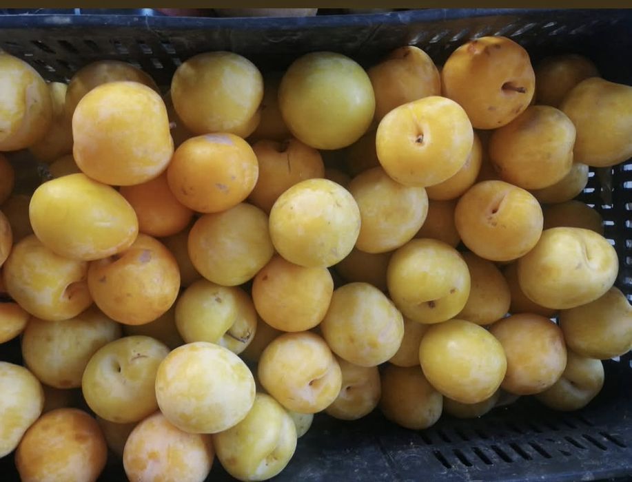 Caixas de ameixas brancas e ameixas pretas para entregas
