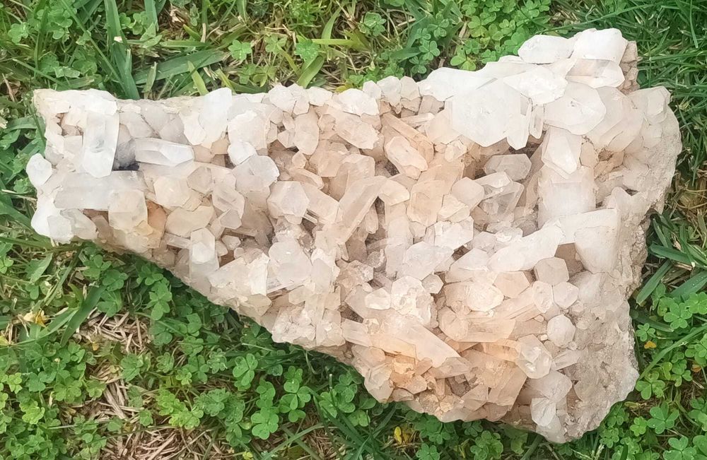 Geodes + fossil
