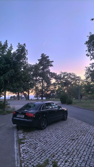 Audi a4 b7 2.0 tdi, 140 cv 16 valvulas