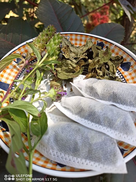 Prunela para infusão