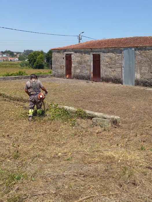 Limpeza/Manutenção de terrenos