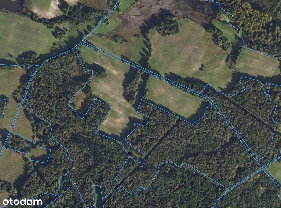 sprzedaż/dzierżawa Działka rolna 132982 m² Grodzisko