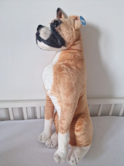 Bokser piesek pluszak