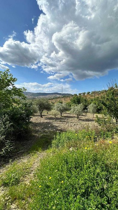 Terreno Rústico 4.392 m² – Eiras do Lagar, Vilarelhos (Alfândega da Fé)