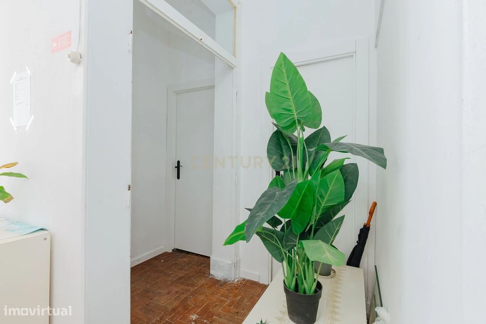Apartamento T6 na Rua Alexandre Herculano - Oportunidade Única