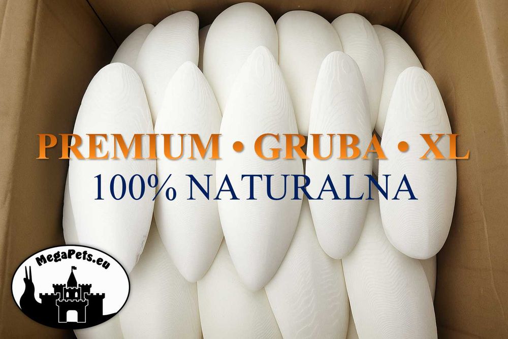 Sepia 100% Naturalna - Kość Mątwy Wapń Ślimaki Lissachatina Achatina