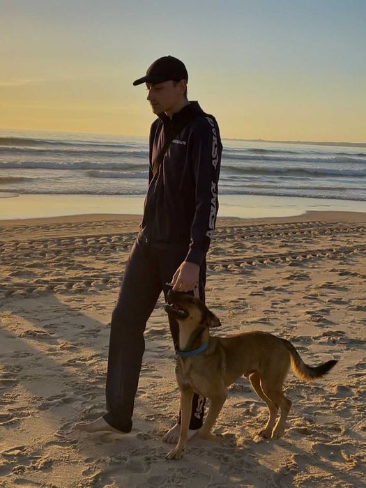 Treino Canino Balanceado em Lisboa e Setúbal – Treinador Alemão