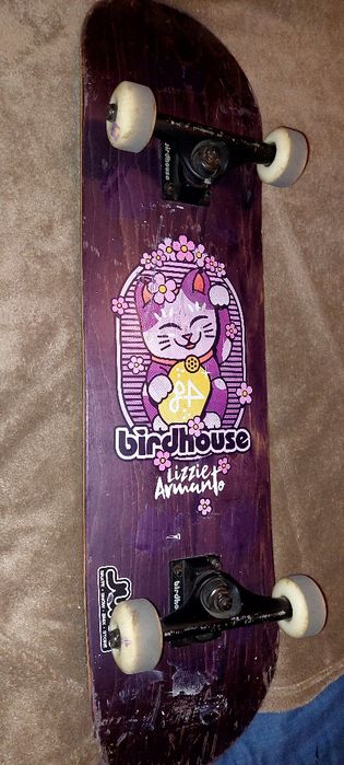Skate  birdhouse