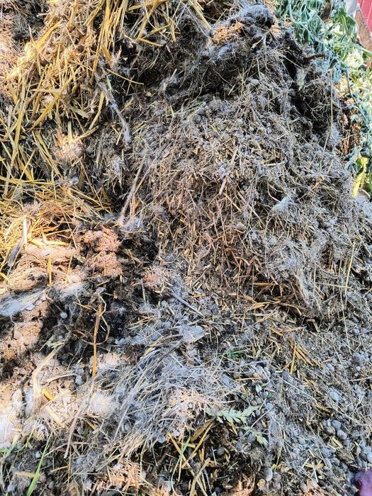 Перегній, гній. Добрива