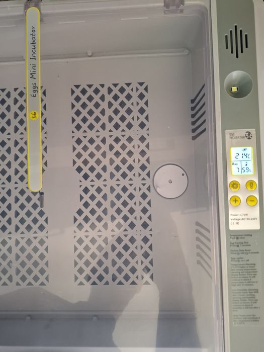 Inkubator jaj z katrola temperatury 36 jaj