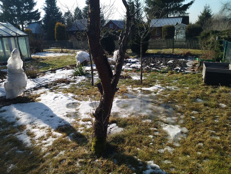 Działka ROD 42 Pułku Piechoty