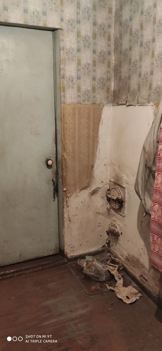 Продам добротний будинок біля річки Десна в селі Надинівка