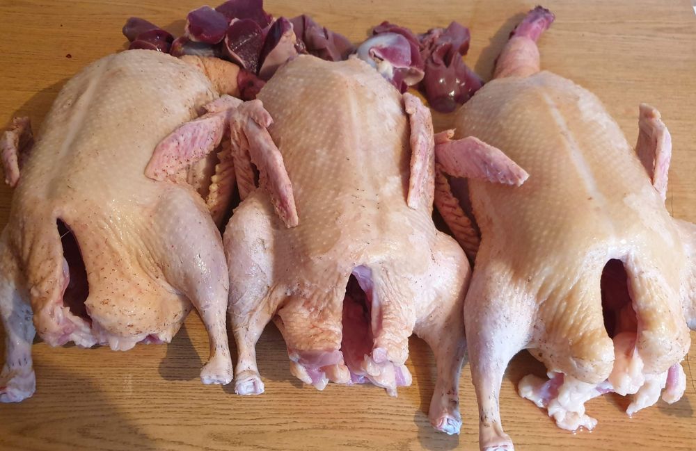 Tuszki z krwią pod zamówienie