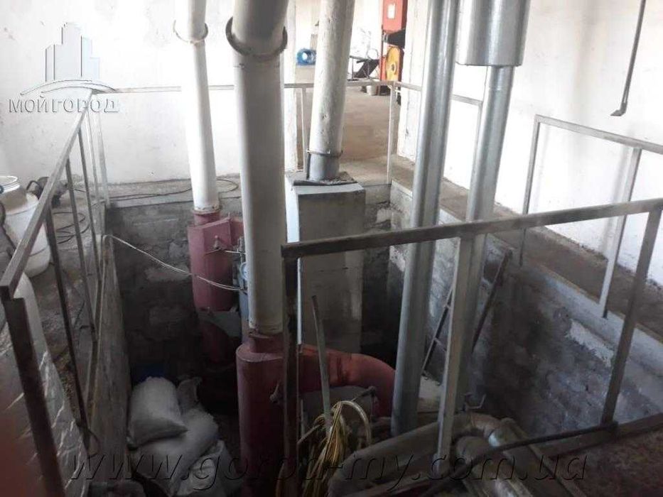 Бізнес з виробництва соняшникової олії в Україні. Олійниця. Завод