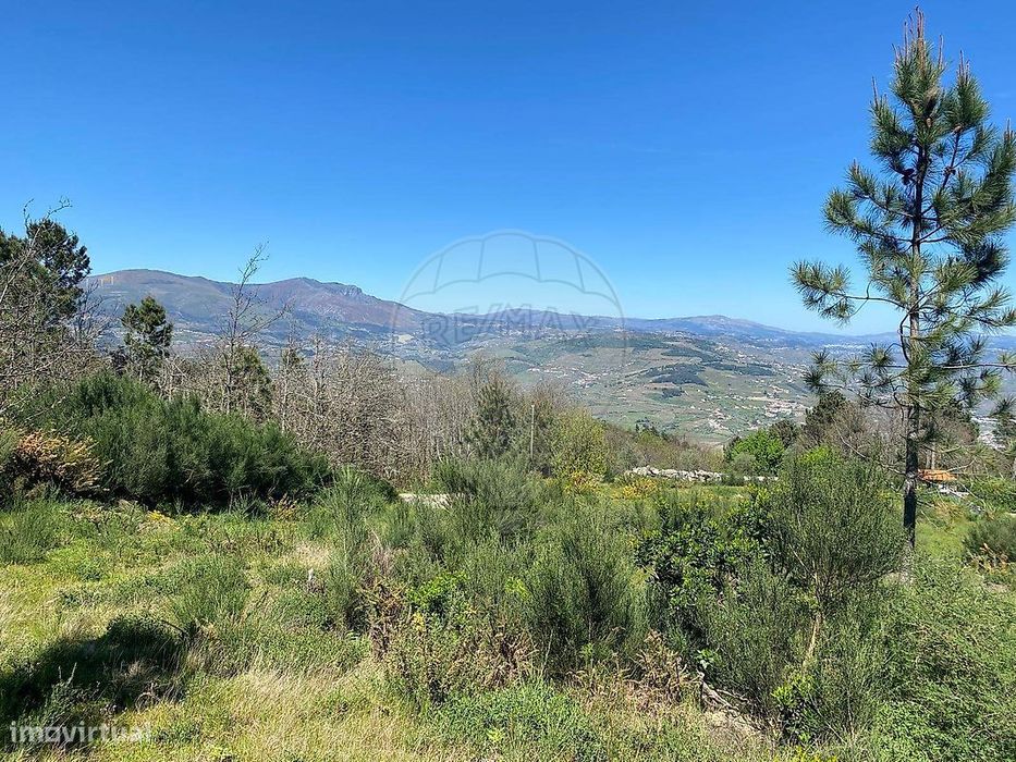 Terreno  para venda — Lamego (Almacave E Sé), Viseu
