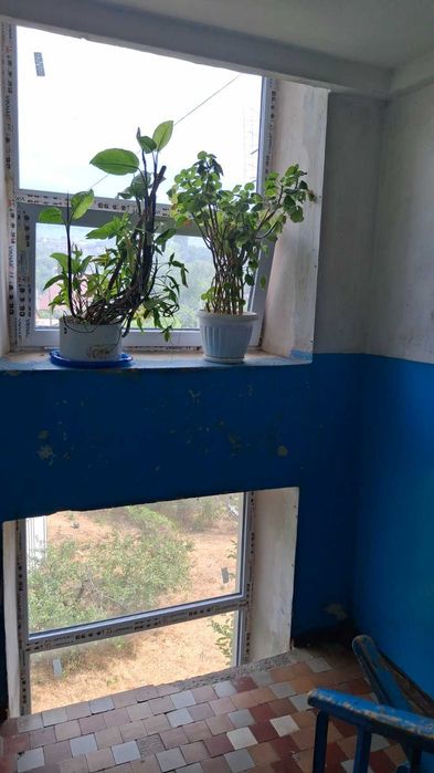 продам 1 комн на Бочарова  19 999  у.е