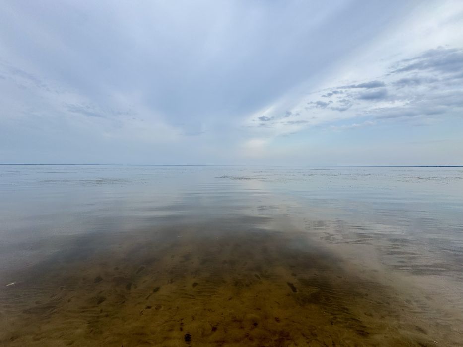 Продаж ділянки від 40 соток до 10Га. с. Ясногородка Киівська область