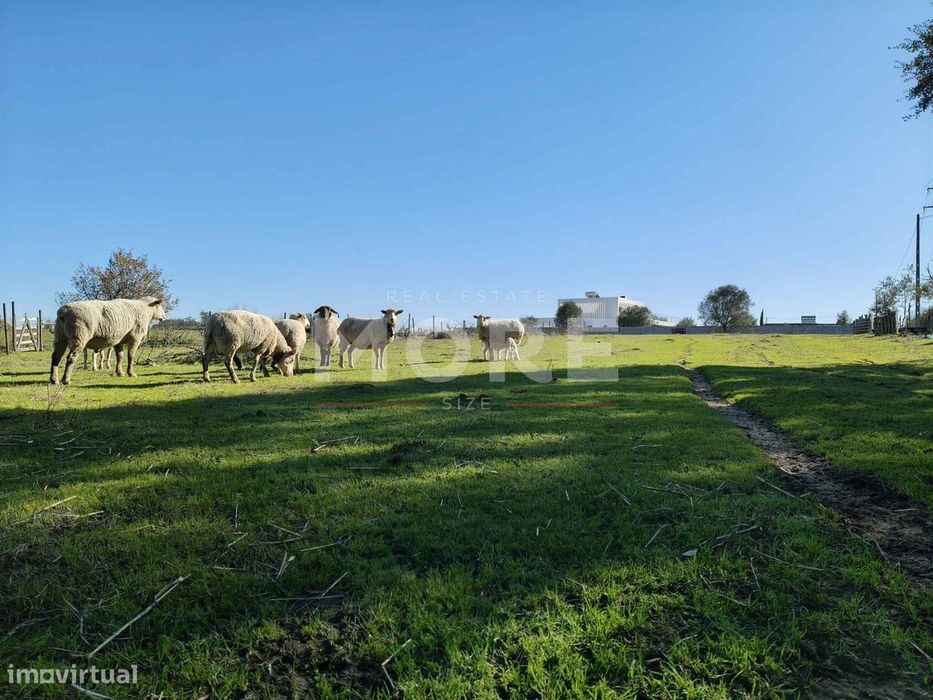 Terreno com 9500 m² – Évora