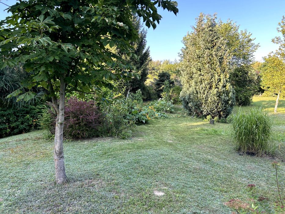 Działka budowlana nad jeziorem, Lutom (poj. Sierakowskie) - Widok 3