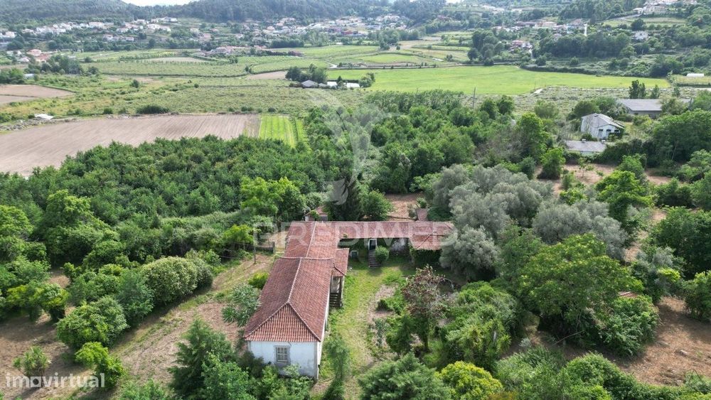 Quinta em Briteiros, Guimarães