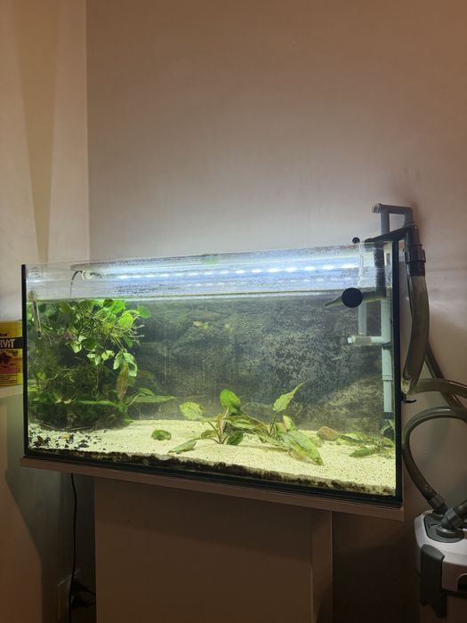Sprzedam akwarium 120l z pełnym wyposażeniem.