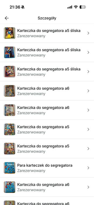 Karteczki do segregatora