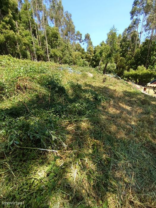 Terreno de 600m² com bom acesso e vista de potencial!
