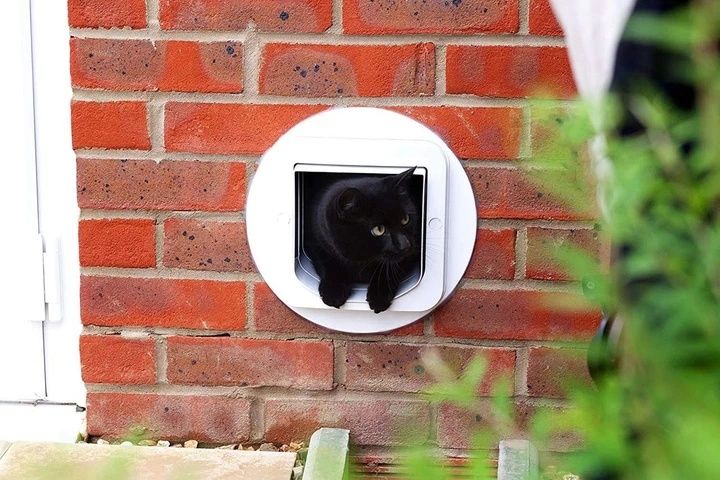 Sure Petcare SureFlap