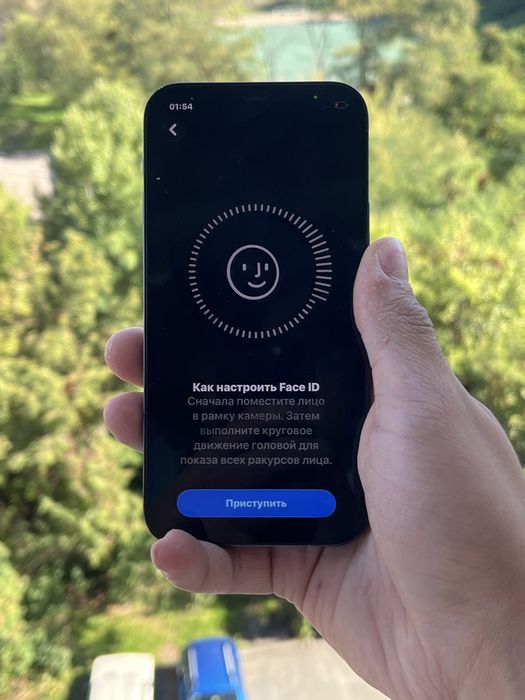 Iphone 12 Pro 256 GB Neverlock 10/10