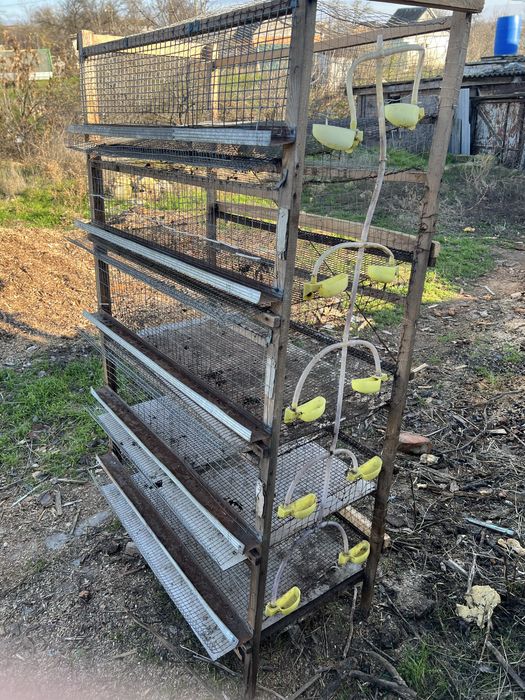 Клетка для перепелов