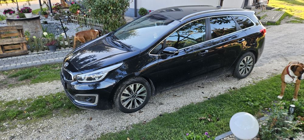Kia ceed 1.6 gdi 12-18 lift kolor 1M