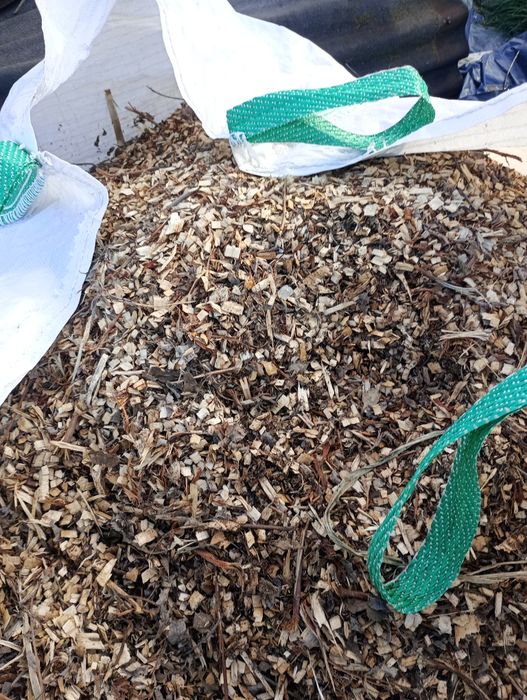 Zrębki drzewne z drzew liściastych z (resztkami liści)1 big bag